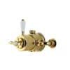 Aqualisa Aquatique Thermostatic Exposed Shower Valve Gold - 500.10.04