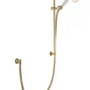 Aqualisa Aquatique Adjustable Shower Head And Rail Chrome/Gold - 560.01