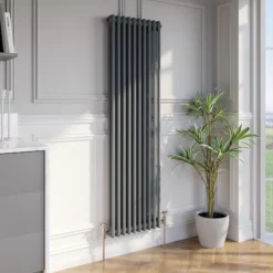 Park Lane Traditional Vertical Colosseum Double Bar Column Radiator Anthracite - 1600 X 470mm