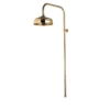 Aqualisa Aquatique Surface Mounted 8 Inch Fixed Shower Head Gold - 581.04