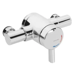 Bristan Gummers OPAC Thermostatic Exposed Mini Valve MINI2 TS1203 EL C