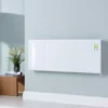 Electric Heating Company DSR Visage 1.0kW Panel Heater - VIS1000.750.450DSR -UK Bathroom Supplies Sales b46270fe 98d8 4c65 bf81 81d24442319a