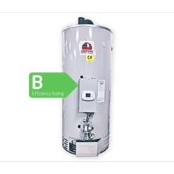 Andrews CLASSICflo Fan Flued RFF18/270 Water Heater Natural Gas - 7697152